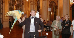 Magie avec perroquets